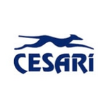 Cesari